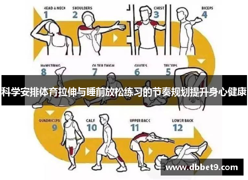 科学安排体育拉伸与睡前放松练习的节奏规划提升身心健康